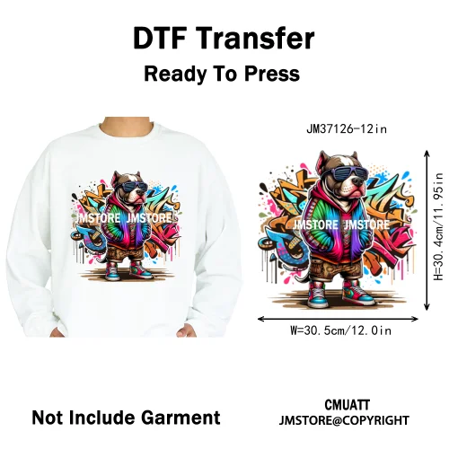 12in Cartoon Graffiti Streetwear Tiger Bunny Animal King Hip Hop Poster Iron on DTF Transfer Stickers Ready to Press for Hoodies