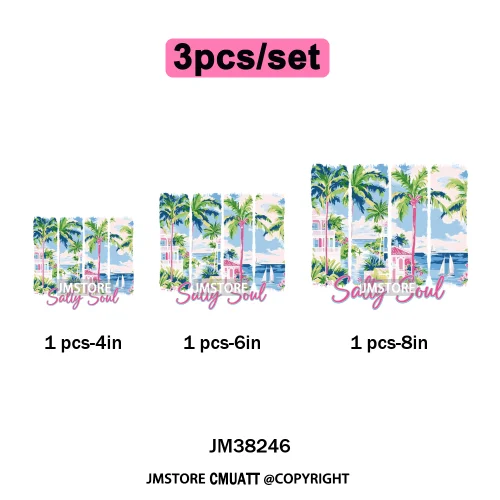 Seashell Sweet Summer Salty Soul Preppy Coastal Coquette Floral Vibes Iron on DTF Transfers Stickers Ready to Press for T-shirts