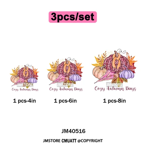 Pink Happy Fall Season Harvest Blessings Pumpkin Autumn Vibes Iron on DTF Washable Transfers Stickers Ready to Press for Hoodies