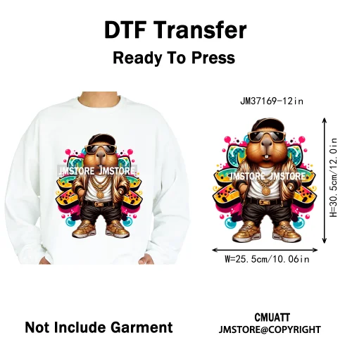 12in Colorful Gangster Urban Hip Hop Music Panda Dog Animal Lover Iron on DTF Heat Transfer Stickers Ready to Press for Clothing