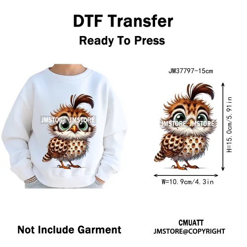 15cm 5.9in Kids Cute Nursery Thermal Printed Bird Fly Animal Washable Iron on DTF Transfers Stickers Ready to Press for Textile