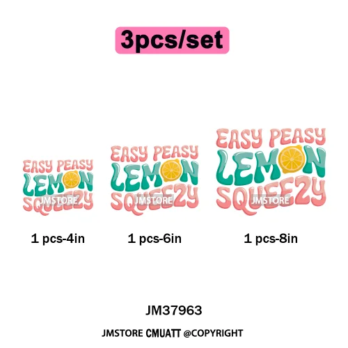 Hello Summer Beach Vibes Stay Cool Live In Sunshine Hot Mom Cowgirl Iron on DTF Transfers Stickers Ready to Press for T-shirts