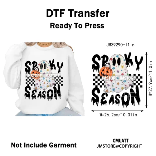 Witchy Goose Howday Pumpkin Boo Ghost Spooky Season Coquette Halloween Iron on DTF Transfers Stickers Ready to Press for Clothes