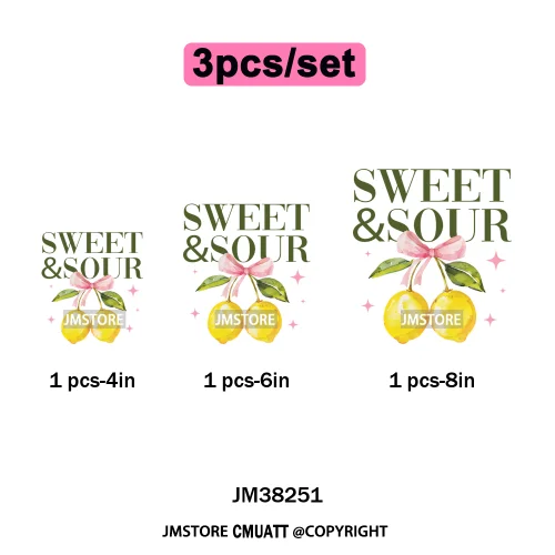 Seashell Sweet Summer Salty Soul Preppy Coastal Coquette Floral Vibes Iron on DTF Transfers Stickers Ready to Press for T-shirts