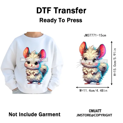 15cm 5.9in Kids Quirky Safari Cartoon Animal Iron On Transfers Stickers For Clothing DTF Printed Appliques Washable T-Shirts