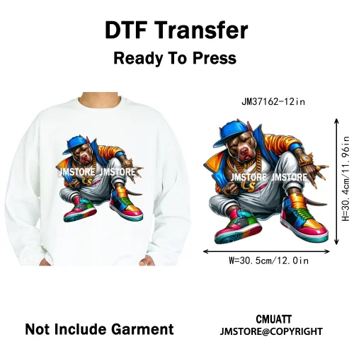 12in Colorful Gangster Urban Hip Hop Music Panda Dog Animal Lover Iron on DTF Heat Transfer Stickers Ready to Press for Clothing