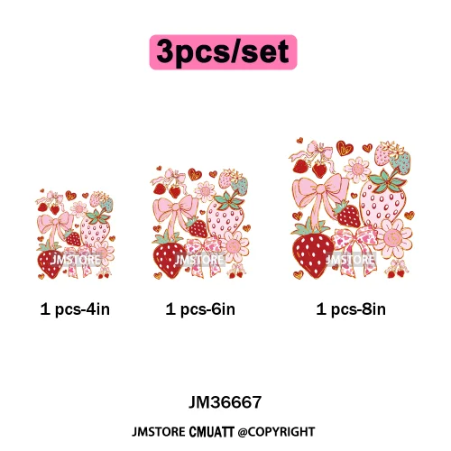 Boho Coquette Floral Strawberry Festival Vibes Summer Fruit Iron on DTF Thermal Transfer Sticker Ready to Press for Clothes Bags