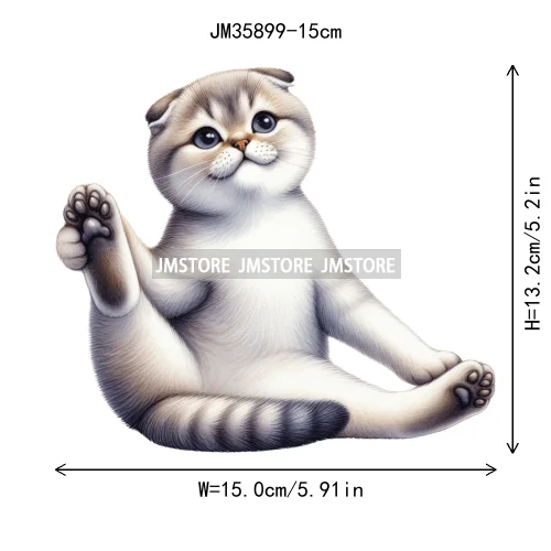 15cm 5.9in Kids Yoga Kungfu Cat Iron On Transfer Stickers For Clothes DTF Printed Vinyl Thermal Appliques Washable T-Shirt Decal