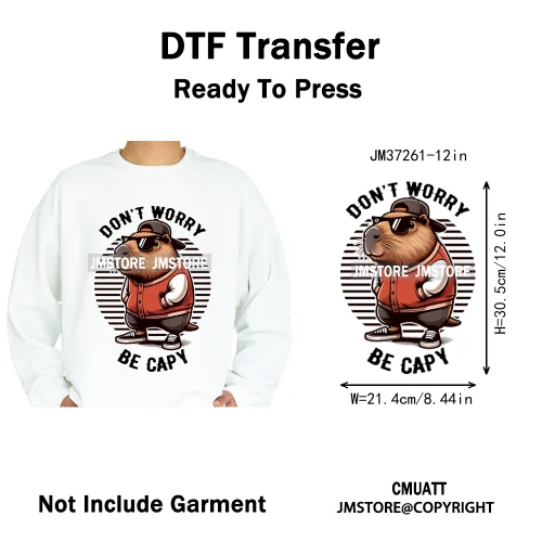 12in Graffiti Streetwear Beasts Cartoon Animals Hip Hop Quotes Iron on DTF Heat Transfers Stickers Ready to Press for Hoodies