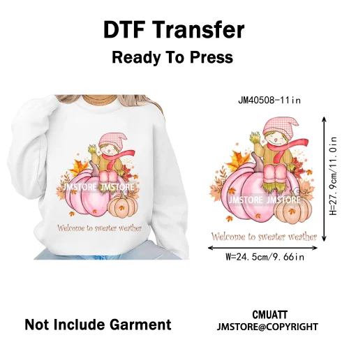 Pink Happy Fall Season Harvest Blessings Pumpkin Autumn Vibes Iron on DTF Washable Transfers Stickers Ready to Press for Hoodies