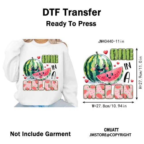 Hello Summer Vibes Watermelon Strawberry Fruit Festival Lover Coquette Iron on DTF Transfers Sticker Ready to Press for T-shirts