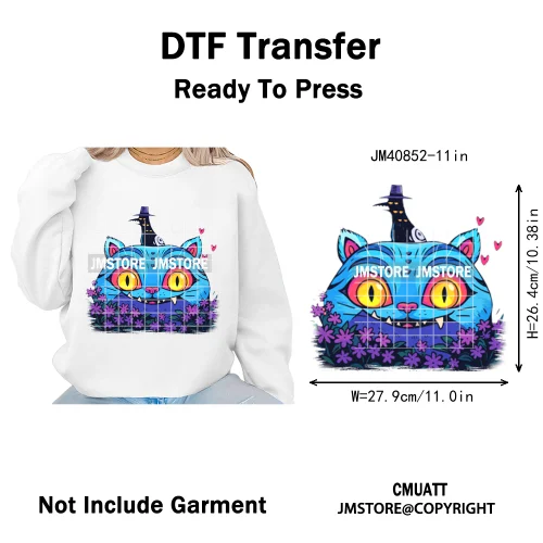 Kpop Culture Idol Movie Inspired Music Lover Cute Blue Anime Character Iron on DTF Transfers Stickers Ready to Press for Clothes