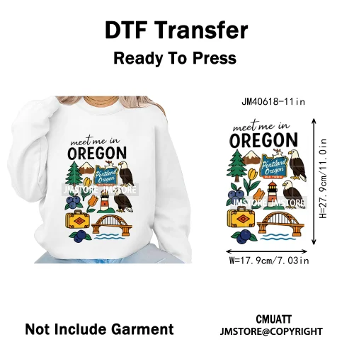Retro American Citycape Scenery Badge States Lover Designs Iron on DTF Washable Transfers Stickers Ready to Press for Clothing