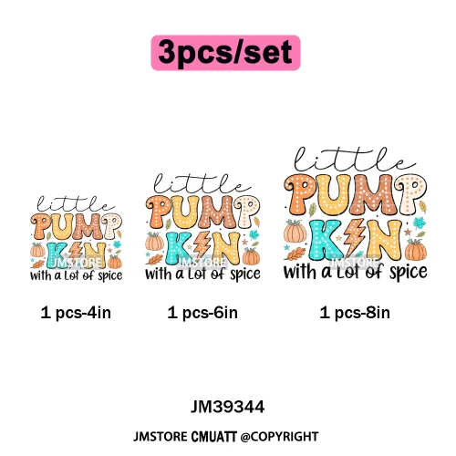 Fall Into Reading Sunflower Pumpkin Coquette Autumn Season Vibes Iron on DTF Heat Transfers Stickers Ready to Press for T-shirts