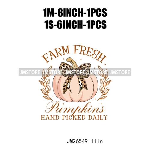 Coquette Farm Fresh Pumpkin Spice Season Fall Vibes Pumpkin Patch Girly DTF Iron On Transfer Sticker Ready To Press For Clothing