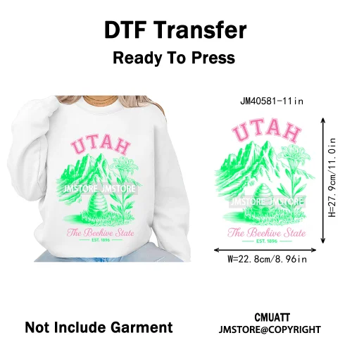 Funny US States Slogan Vacation Scenic Citycape Landmark Iron on DTF Washable Transfers Stickers Ready to Press for Textile Bags