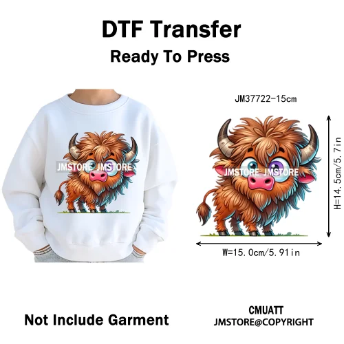 15cm 5.9in Kids Size Funny Pets Lovers Playful Panda Lion Chameleon Animal Iron on DTF Transfer Stickers Ready to Press for Bag