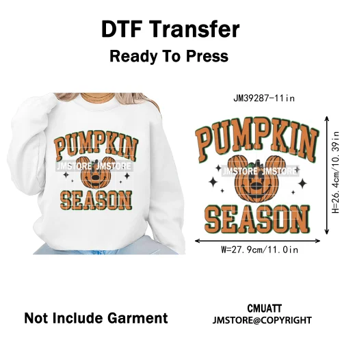 Witchy Goose Howday Pumpkin Boo Ghost Spooky Season Coquette Halloween Iron on DTF Transfers Stickers Ready to Press for Clothes