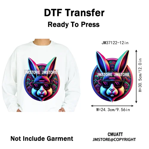 12in Cartoon Graffiti Streetwear Tiger Bunny Animal King Hip Hop Poster Iron on DTF Transfer Stickers Ready to Press for Hoodies