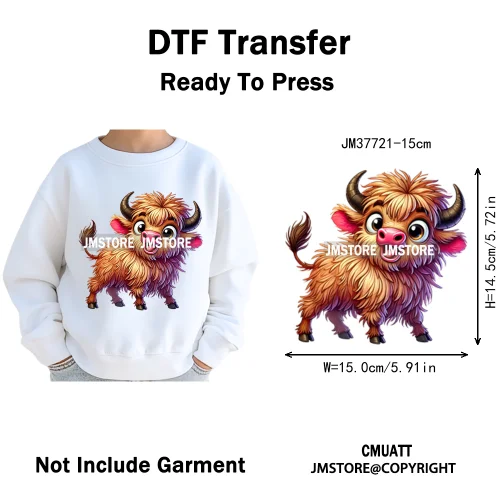 15cm 5.9in Kids Size Funny Pets Lovers Playful Panda Lion Chameleon Animal Iron on DTF Transfer Stickers Ready to Press for Bag