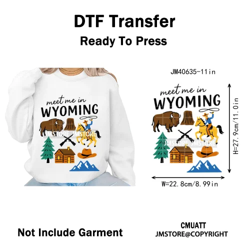 Retro American Citycape Scenery Badge States Lover Designs Iron on DTF Washable Transfers Stickers Ready to Press for Clothing