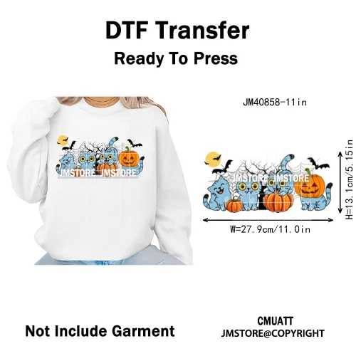 Kpop Culture Idol Movie Inspired Music Lover Cute Blue Anime Character Iron on DTF Transfers Stickers Ready to Press for Clothes