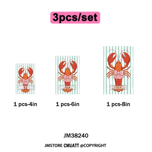 Seashell Sweet Summer Salty Soul Preppy Coastal Coquette Floral Vibes Iron on DTF Transfers Stickers Ready to Press for T-shirts
