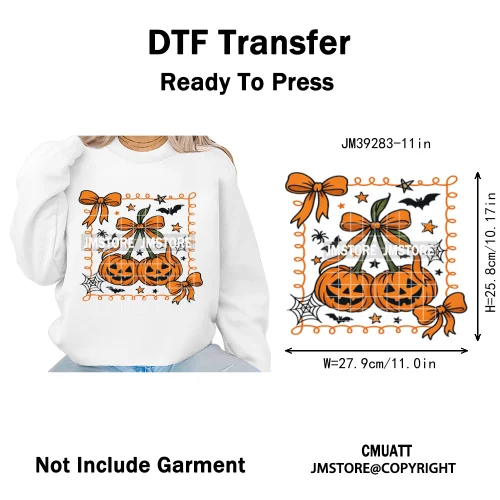 Witchy Goose Howday Pumpkin Boo Ghost Spooky Season Coquette Halloween Iron on DTF Transfers Stickers Ready to Press for Clothes