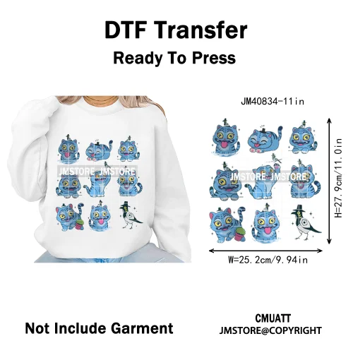 Kpop Culture Idol Movie Inspired Music Lover Cute Blue Anime Character Iron on DTF Transfers Stickers Ready to Press for Clothes