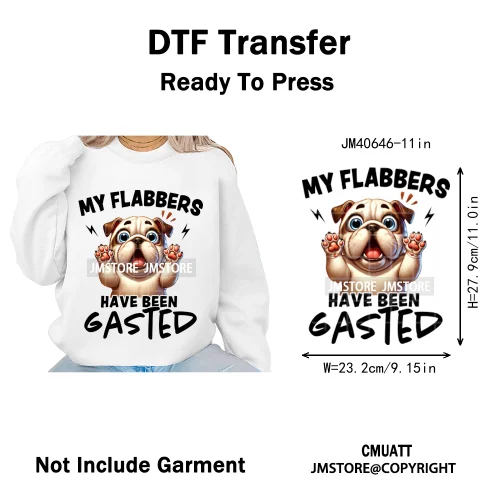 Funny Animal Snarky Inspire Quotes Dog Cat Sarcastic Saying Iron on DTF Washable Transfers Stickers Ready to Press for Clothes
