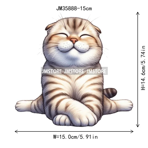 15cm 5.9in Kids Yoga Kungfu Cat Iron On Transfer Stickers For Clothes DTF Printed Vinyl Thermal Appliques Washable T-Shirt Decal
