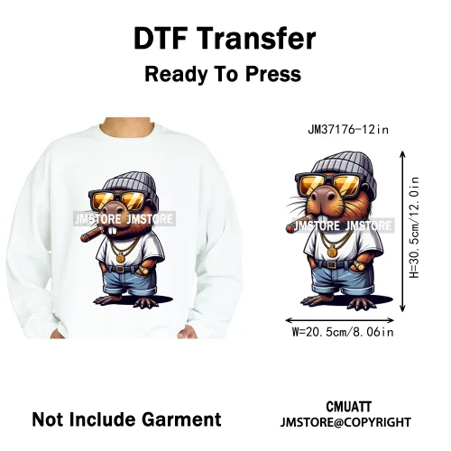 12in Colorful Gangster Urban Hip Hop Music Panda Dog Animal Lover Iron on DTF Heat Transfer Stickers Ready to Press for Clothing
