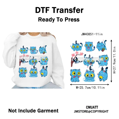 Kpop Culture Idol Movie Inspired Music Lover Cute Blue Anime Character Iron on DTF Transfers Stickers Ready to Press for Clothes