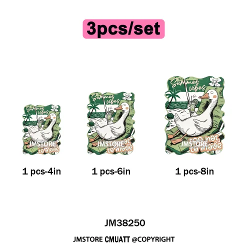 Seashell Sweet Summer Salty Soul Preppy Coastal Coquette Floral Vibes Iron on DTF Transfers Stickers Ready to Press for T-shirts