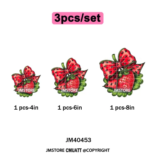 Hello Summer Vibes Watermelon Strawberry Fruit Festival Lover Coquette Iron on DTF Transfers Sticker Ready to Press for T-shirts