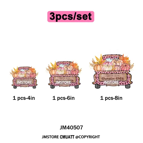 Pink Happy Fall Season Harvest Blessings Pumpkin Autumn Vibes Iron on DTF Washable Transfers Stickers Ready to Press for Hoodies