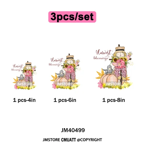 Pink Happy Fall Season Harvest Blessings Pumpkin Autumn Vibes Iron on DTF Washable Transfers Stickers Ready to Press for Hoodies