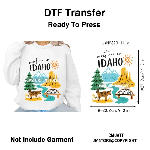 Retro American Citycape Scenery Badge States Lover Designs Iron on DTF Washable Transfers Stickers Ready to Press for Clothing