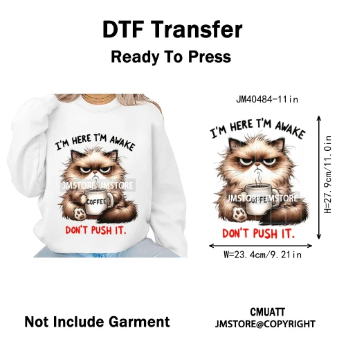Funny Animal Snarky Inspire Quotes Dog Cat Sarcastic Saying Iron on DTF Washable Transfers Stickers Ready to Press for Clothes