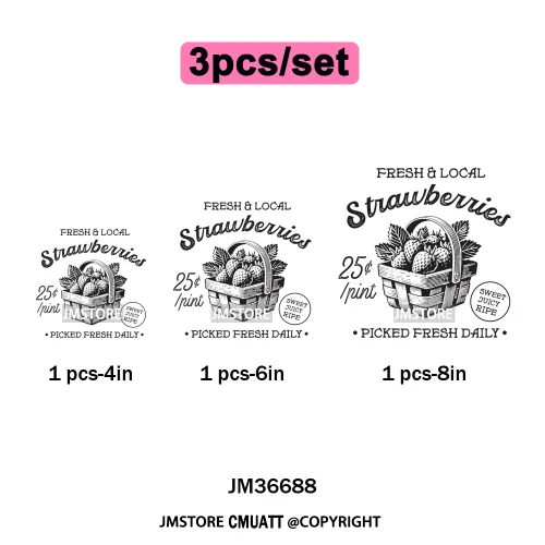 Boho Coquette Floral Strawberry Festival Vibes Summer Fruit Iron on DTF Thermal Transfer Sticker Ready to Press for Clothes Bags