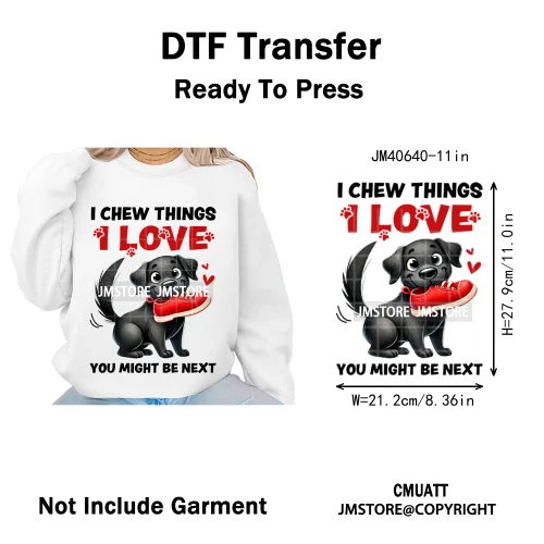 Funny Animal Snarky Inspire Quotes Dog Cat Sarcastic Saying Iron on DTF Washable Transfers Stickers Ready to Press for Clothes