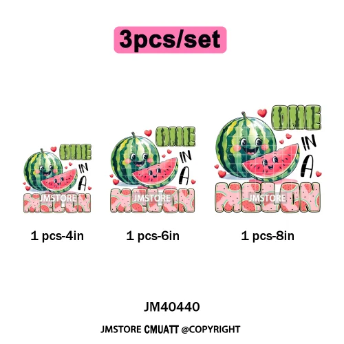 Hello Summer Vibes Watermelon Strawberry Fruit Festival Lover Coquette Iron on DTF Transfers Sticker Ready to Press for T-shirts