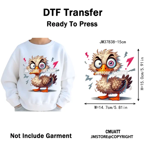 15cm 5.9in Kids Funny Hairy Cartoon Birds Animal Washable Iron on DTF Transfers Stickers Printing Ready to Press for Clothing