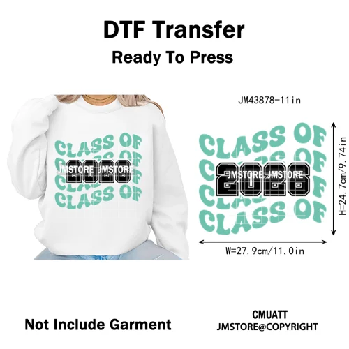 High School Senior 2026 Graduation Club Coquette Gifts Iron on Washable DTF Heat Transfers Stickers Ready to Press for Clothes