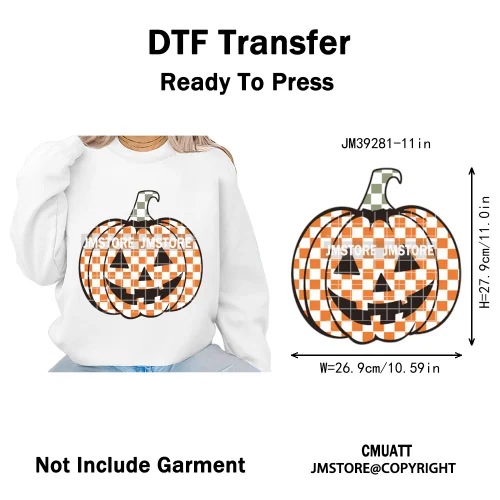 Witchy Goose Howday Pumpkin Boo Ghost Spooky Season Coquette Halloween Iron on DTF Transfers Stickers Ready to Press for Clothes