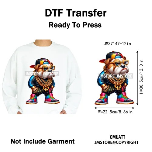 12in Colorful Gangster Urban Hip Hop Music Panda Dog Animal Lover Iron on DTF Heat Transfer Stickers Ready to Press for Clothing