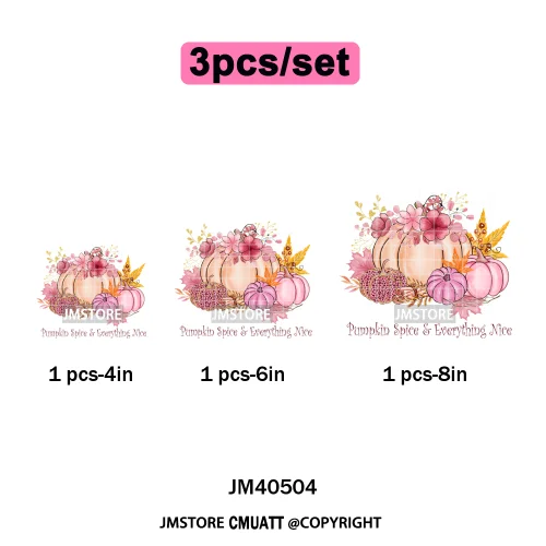 Pink Happy Fall Season Harvest Blessings Pumpkin Autumn Vibes Iron on DTF Washable Transfers Stickers Ready to Press for Hoodies