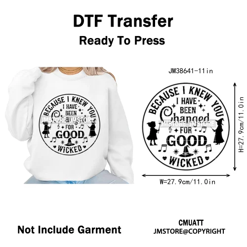 Witch Changed For Good Faux Glitter Pink and Green Movie Iron on DTF Washable Transfers Stickers Ready to Press for Clothes Bags
