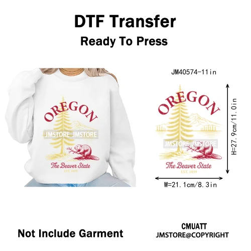 Funny US States Slogan Vacation Scenic Citycape Landmark Iron on DTF Washable Transfers Stickers Ready to Press for Textile Bags