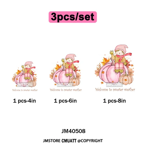 Pink Happy Fall Season Harvest Blessings Pumpkin Autumn Vibes Iron on DTF Washable Transfers Stickers Ready to Press for Hoodies